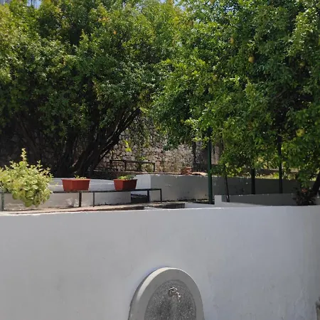 El Higo * Mostar