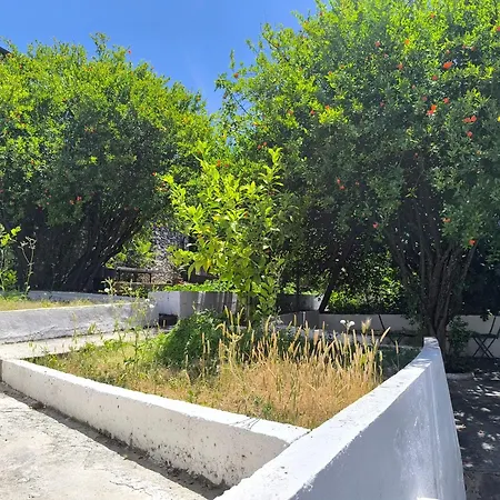 Apartman El Higo